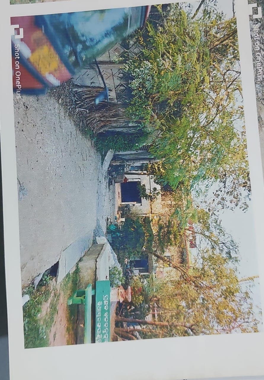 Property Photos 2