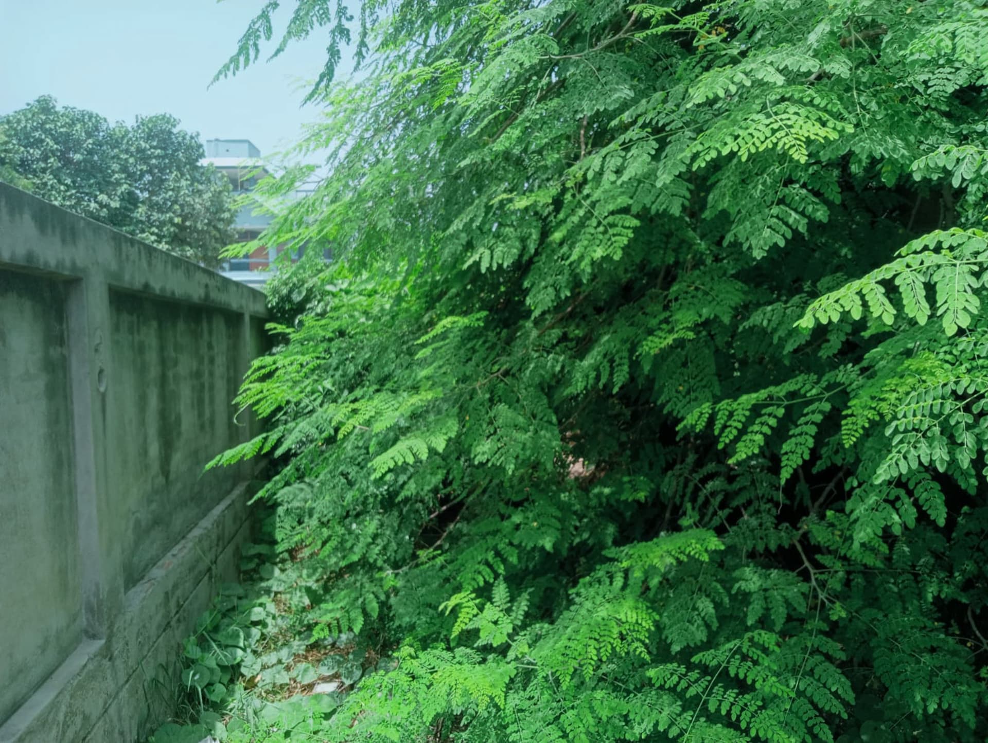 Property Photos 2