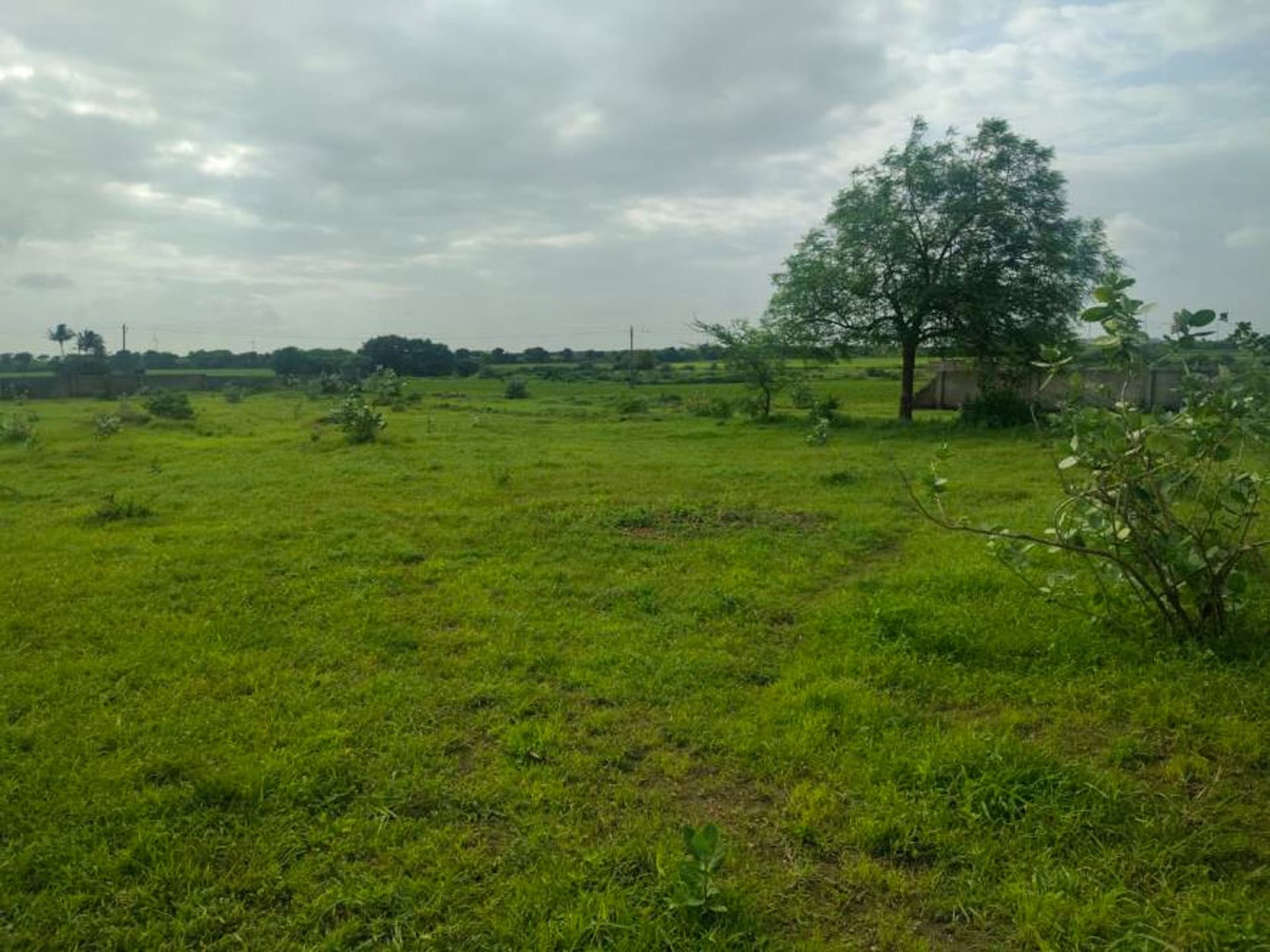 Property Photos 19