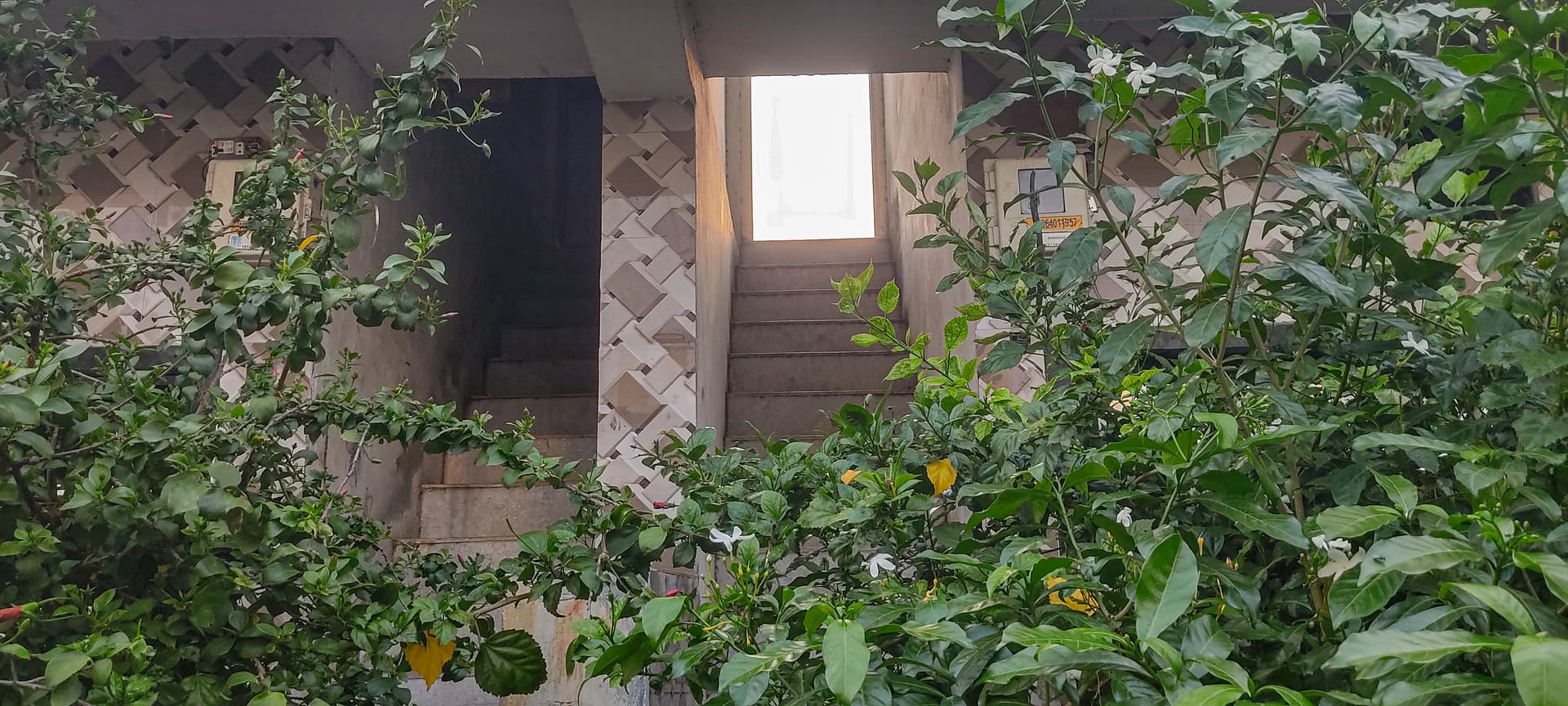 Property Photos 2