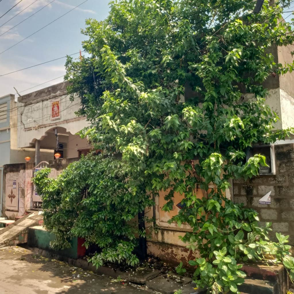 Property Photos 8
