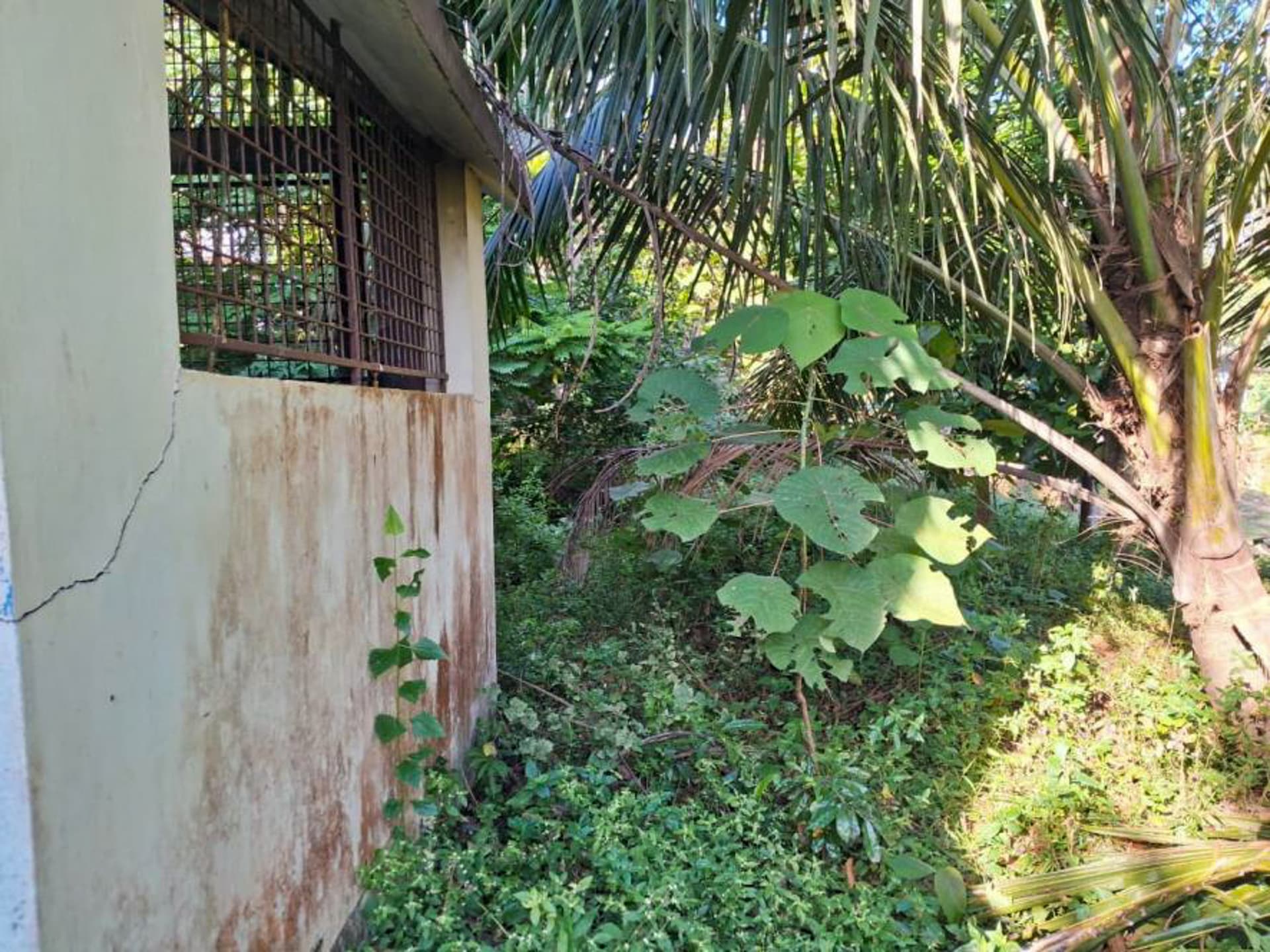 Property Photos 2