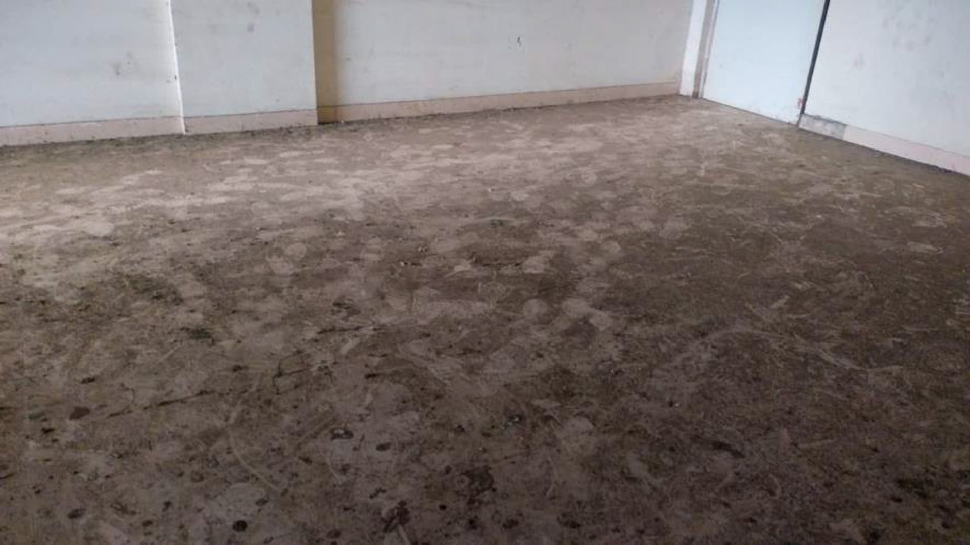 Property Photos 6