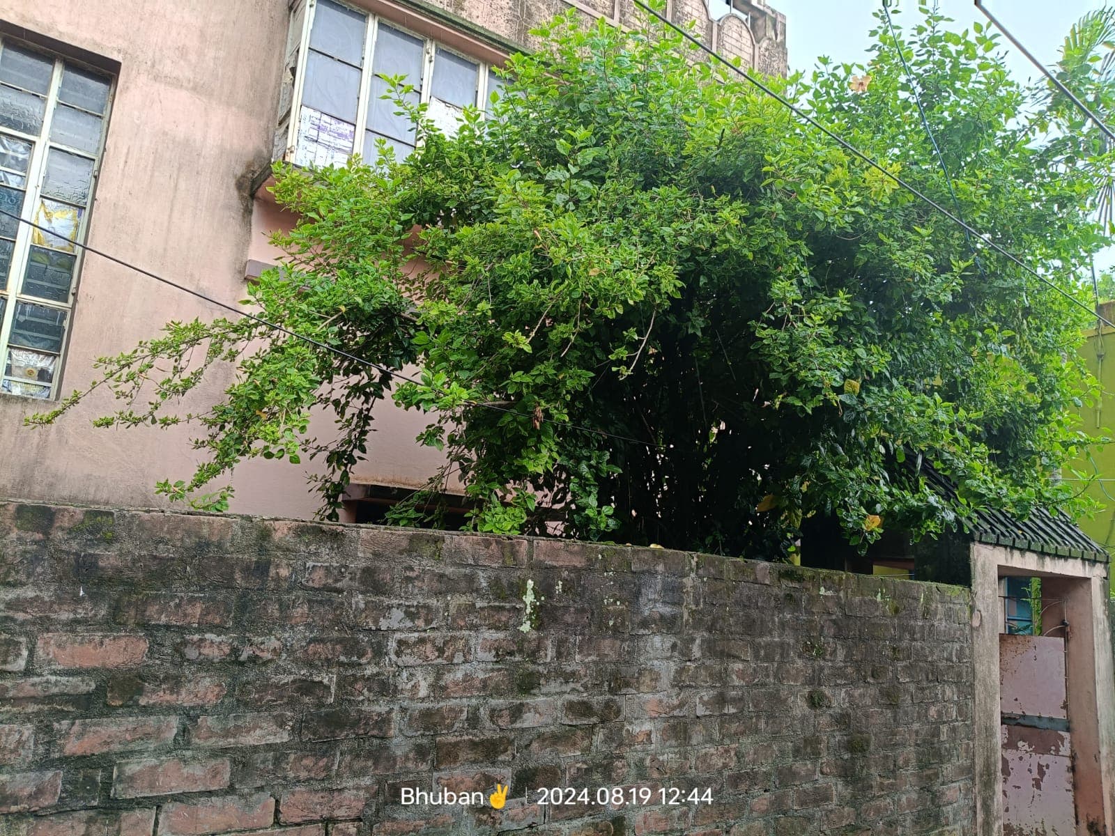 Property Photos 3