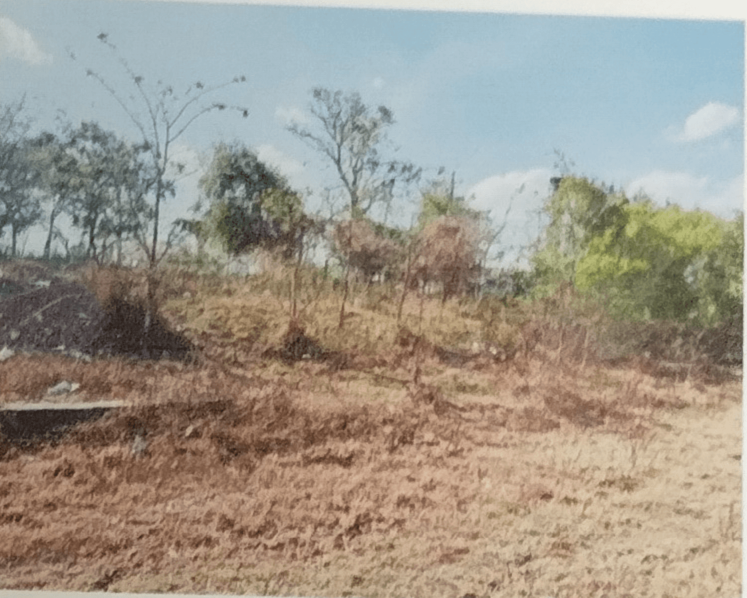 Property Photos 3