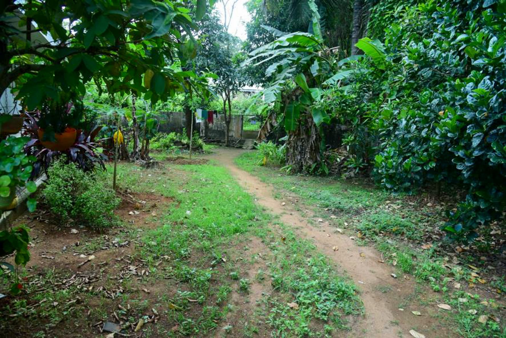 Property Photos 4