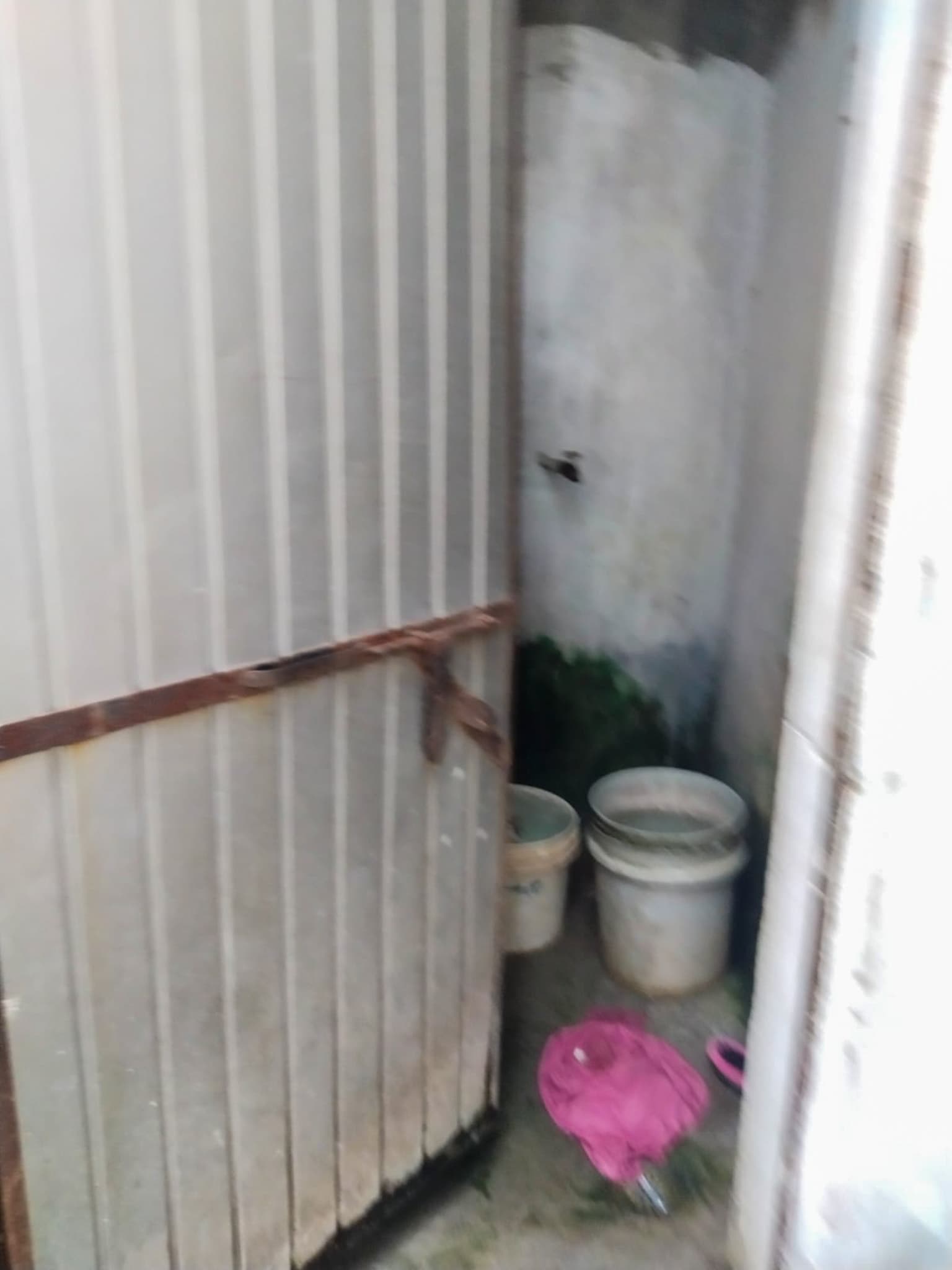 Property Photos 6