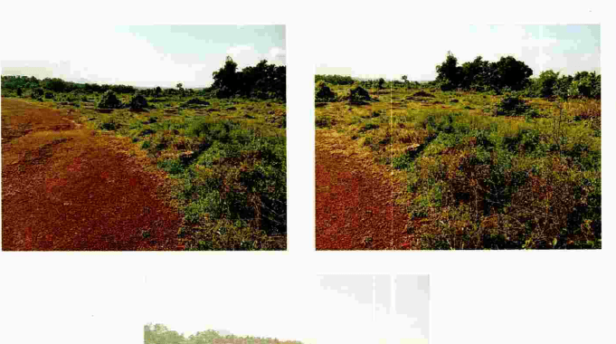 Property Photos 5