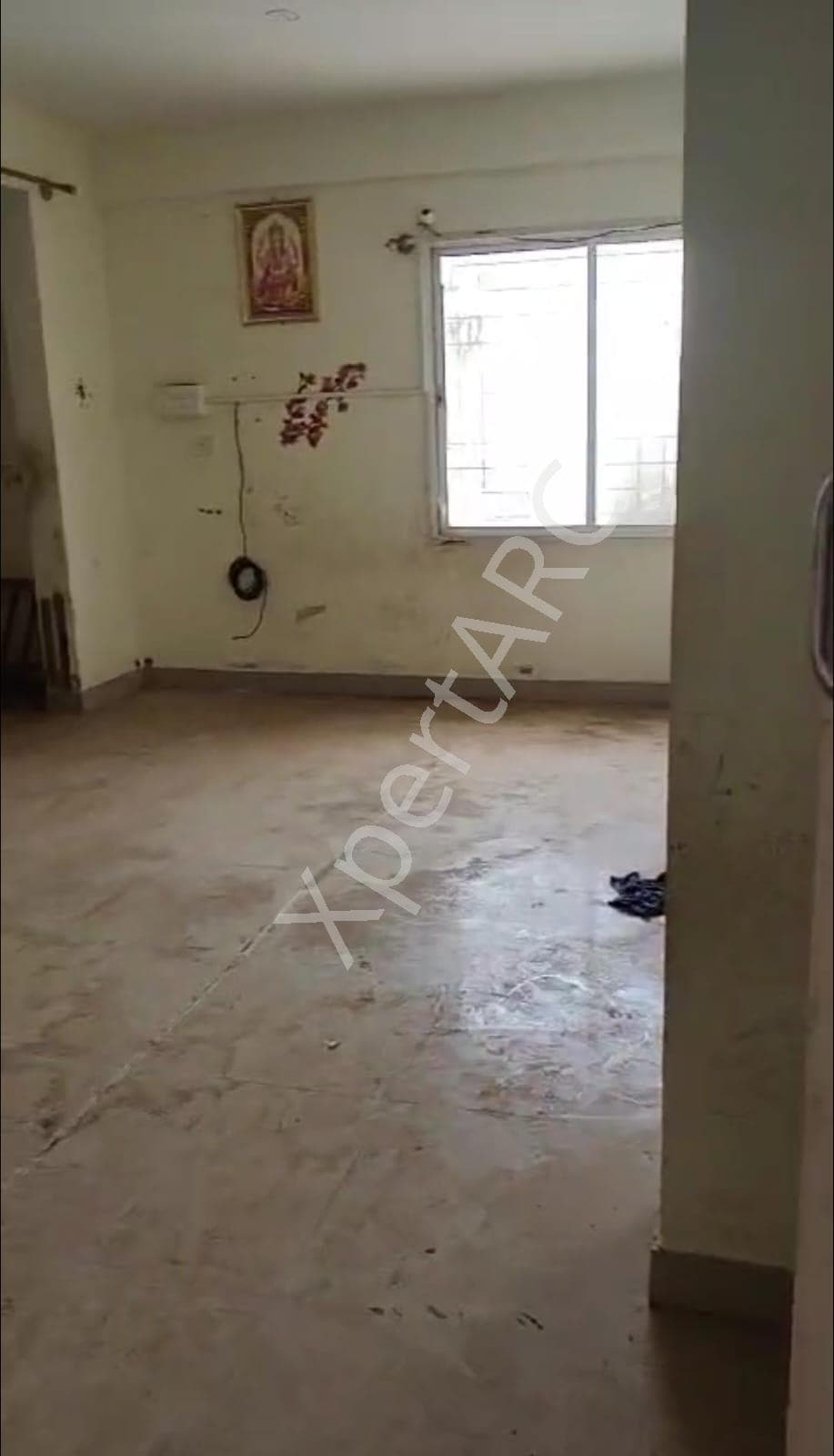 Property Photos 4