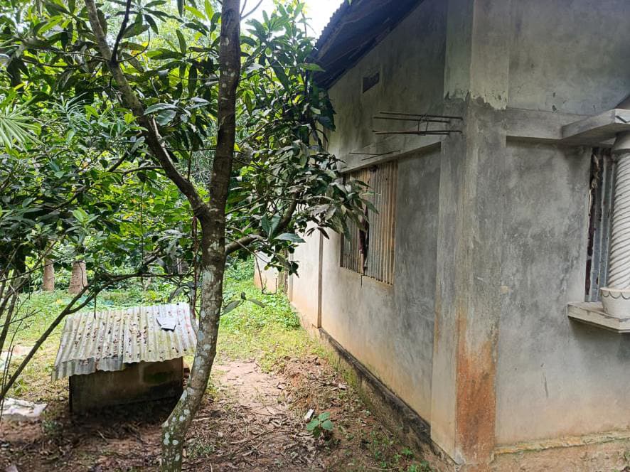 Property Photos 2