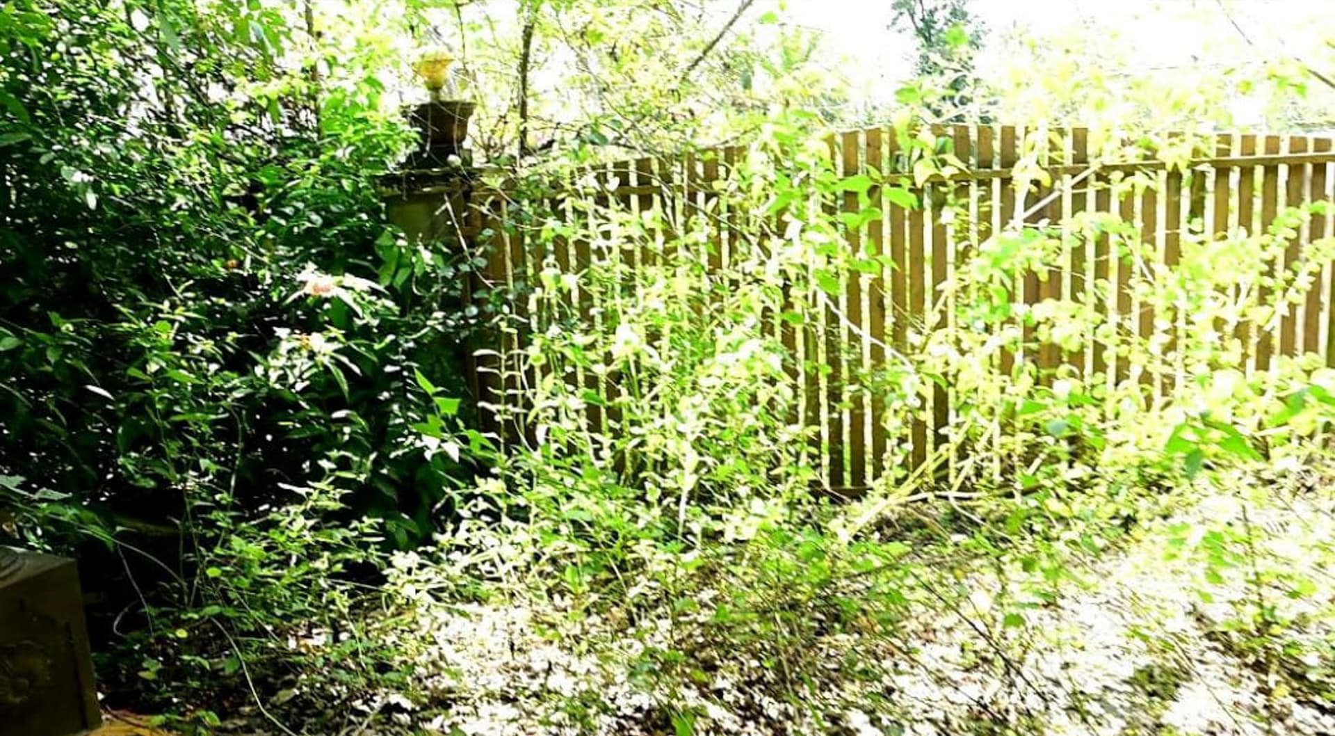Property Photos 13