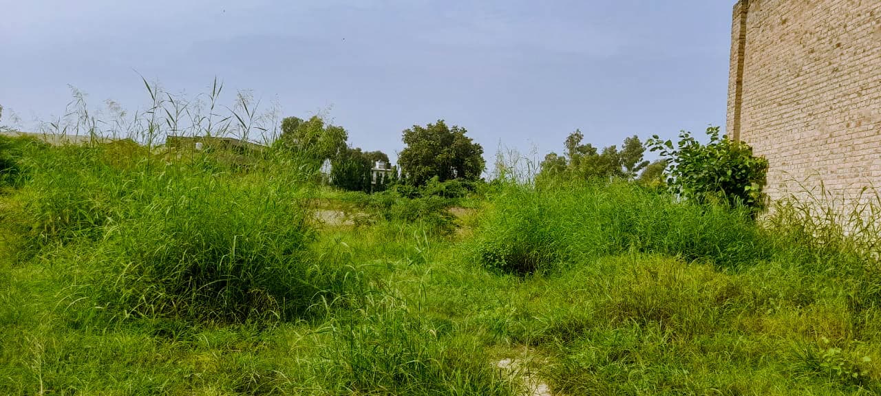 Property Photos 8