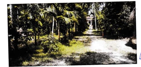 Property Photos 5