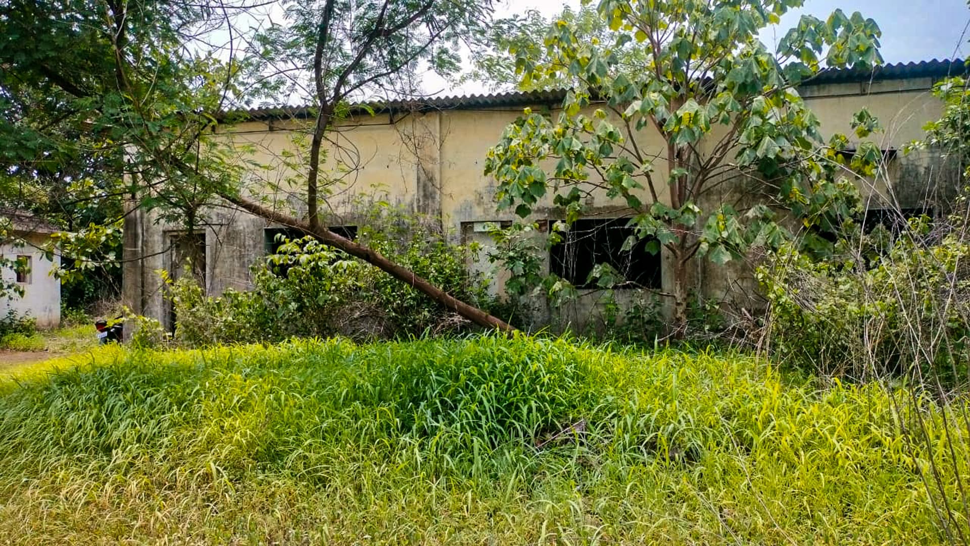 Property Photos 2