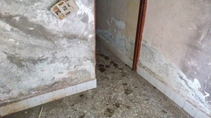 Property Photos 20