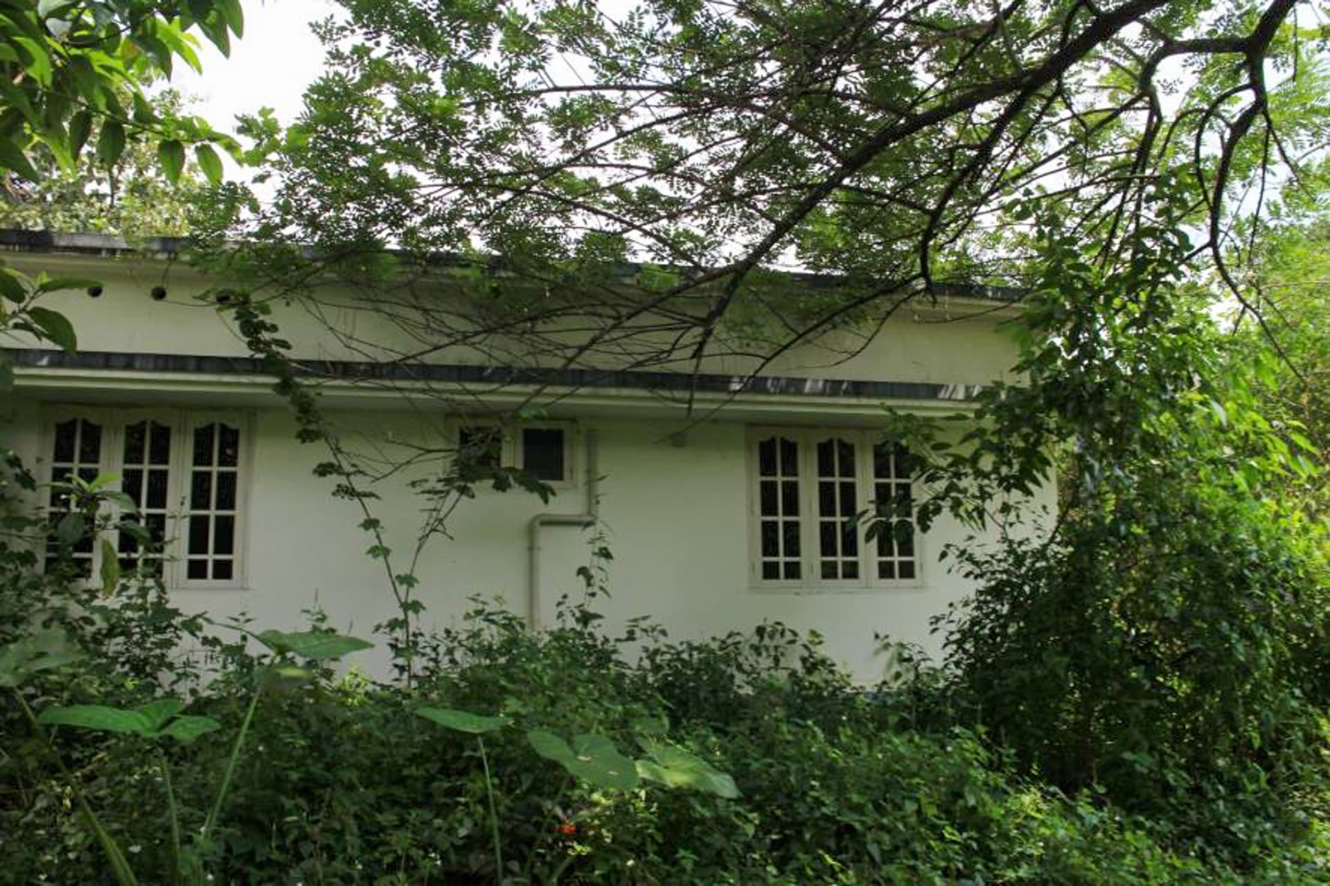 Property Photos 19