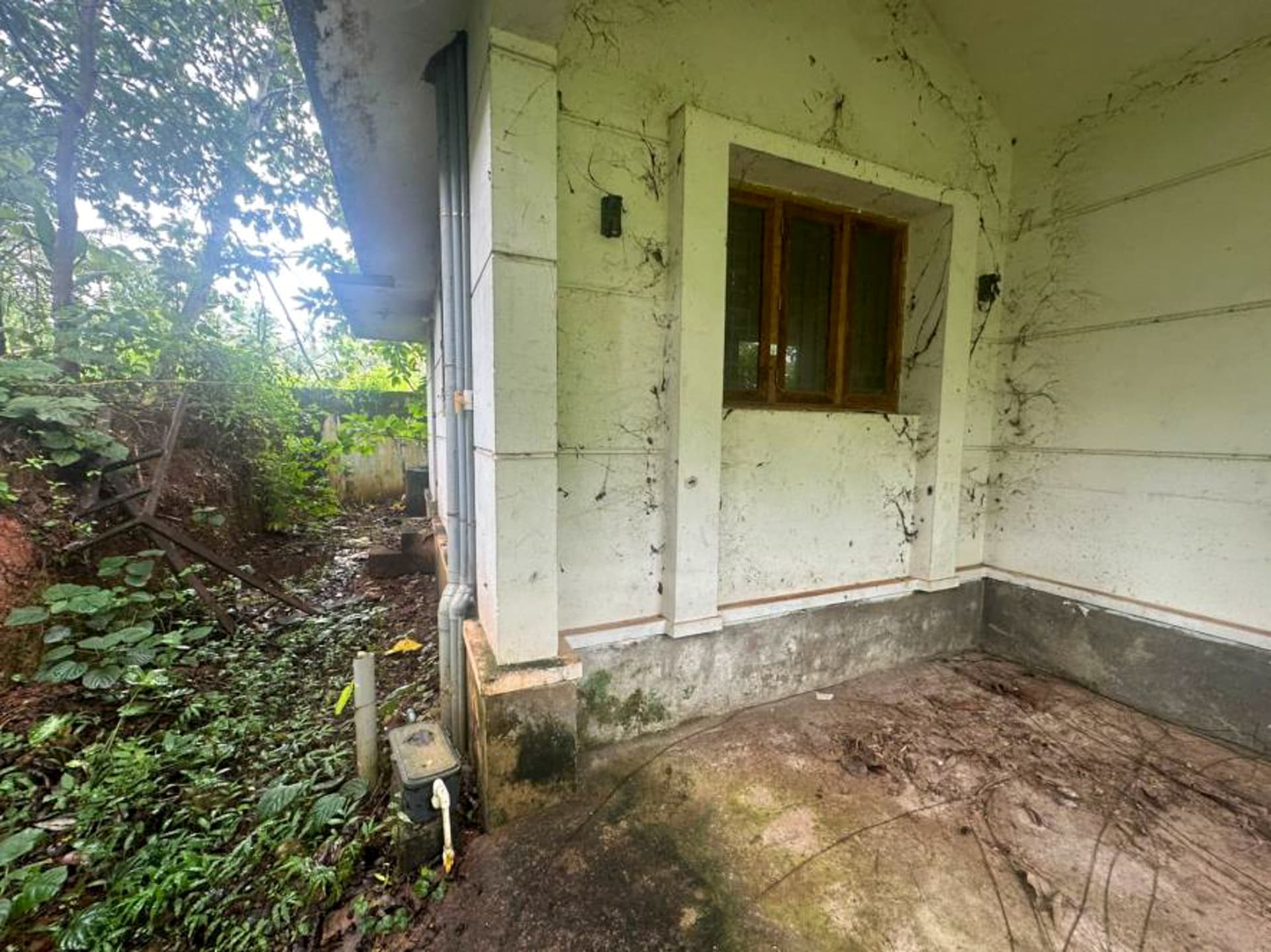 Property Photos 52
