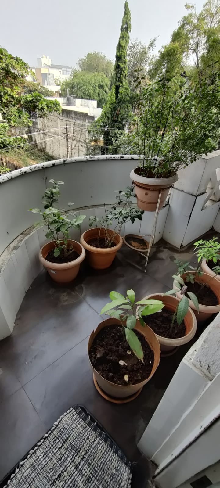 Property Photos 4