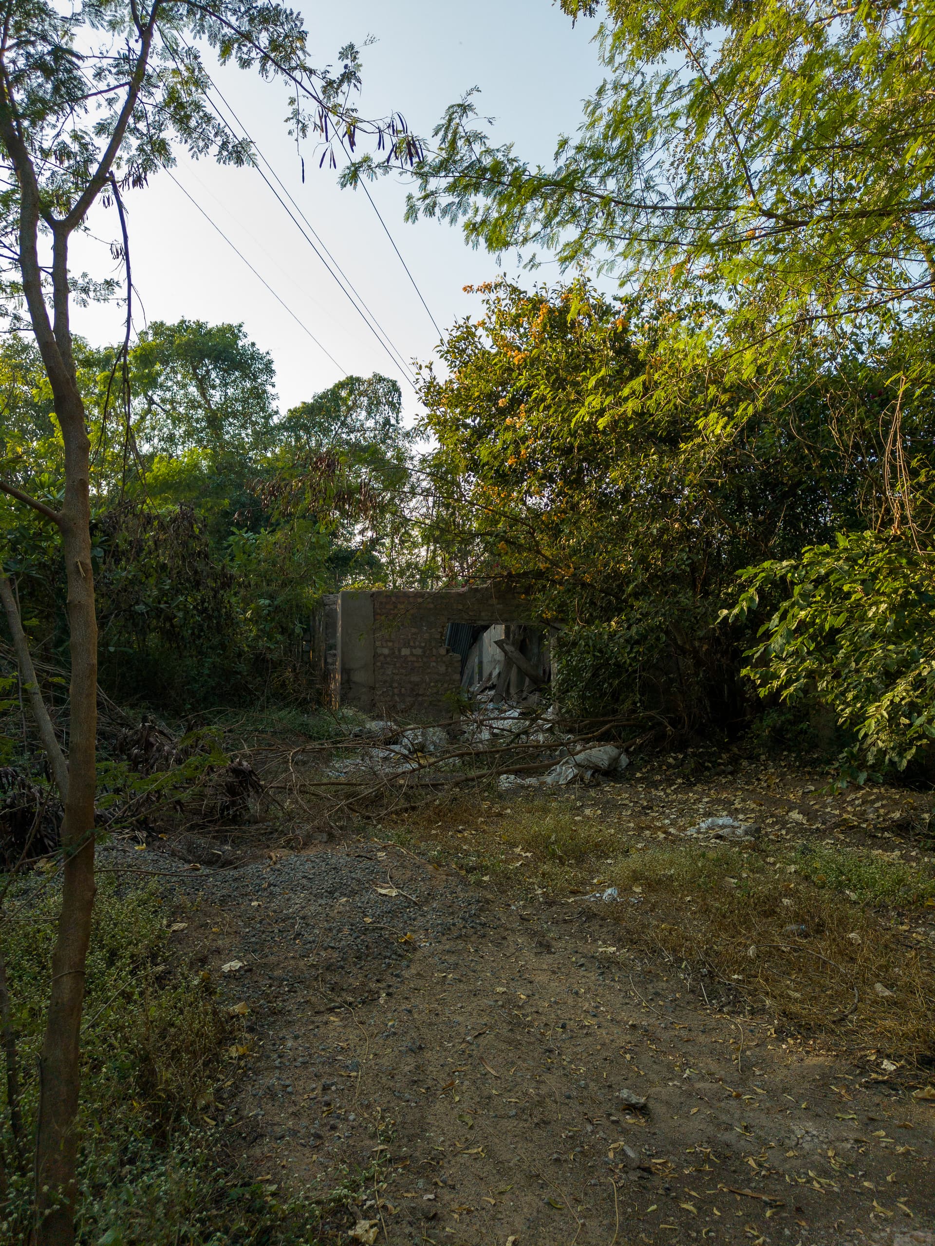 Property Photos 22