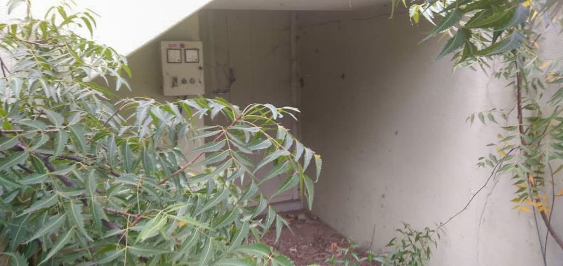 Property Photos 18