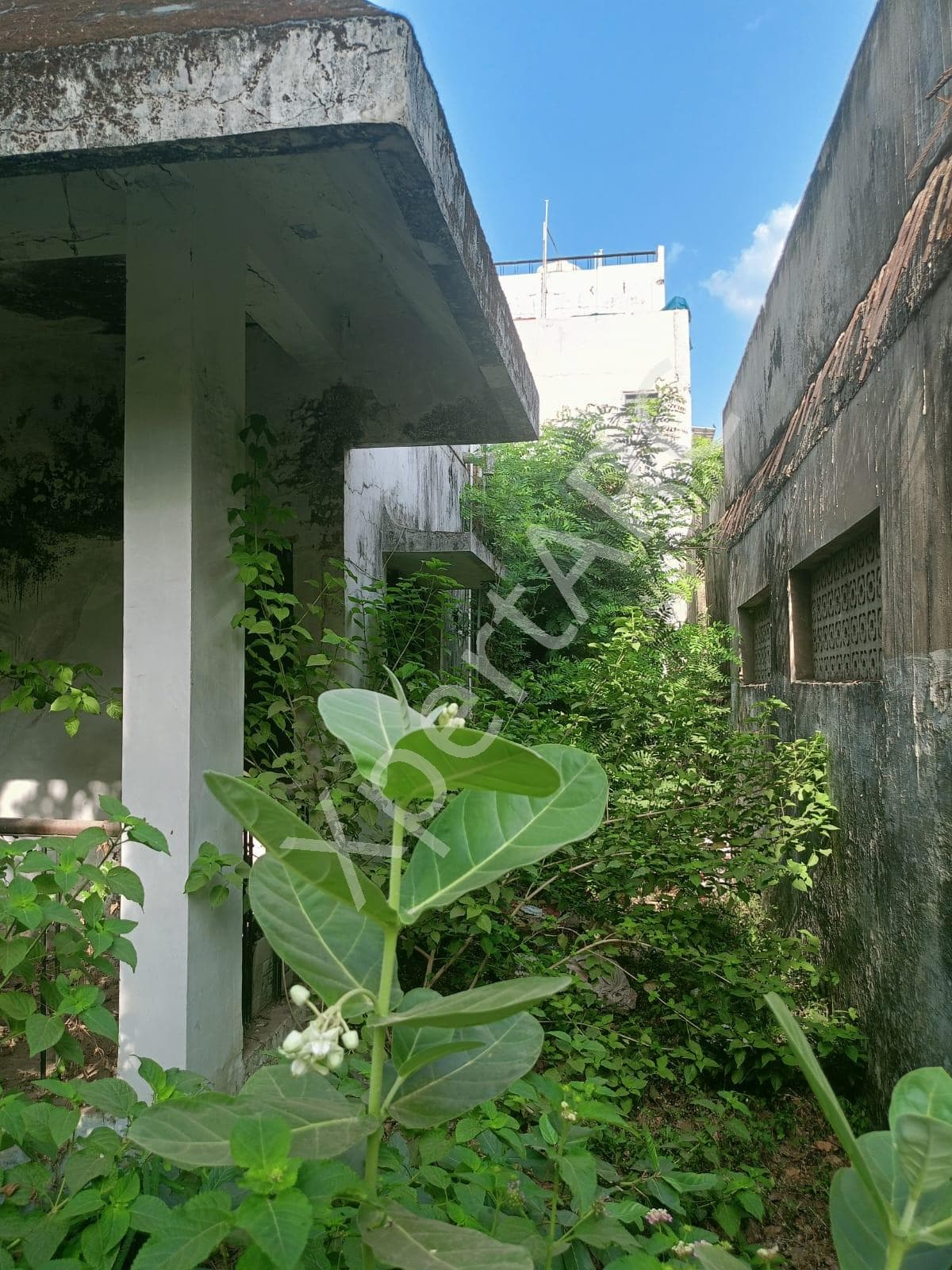 Property Photos 2