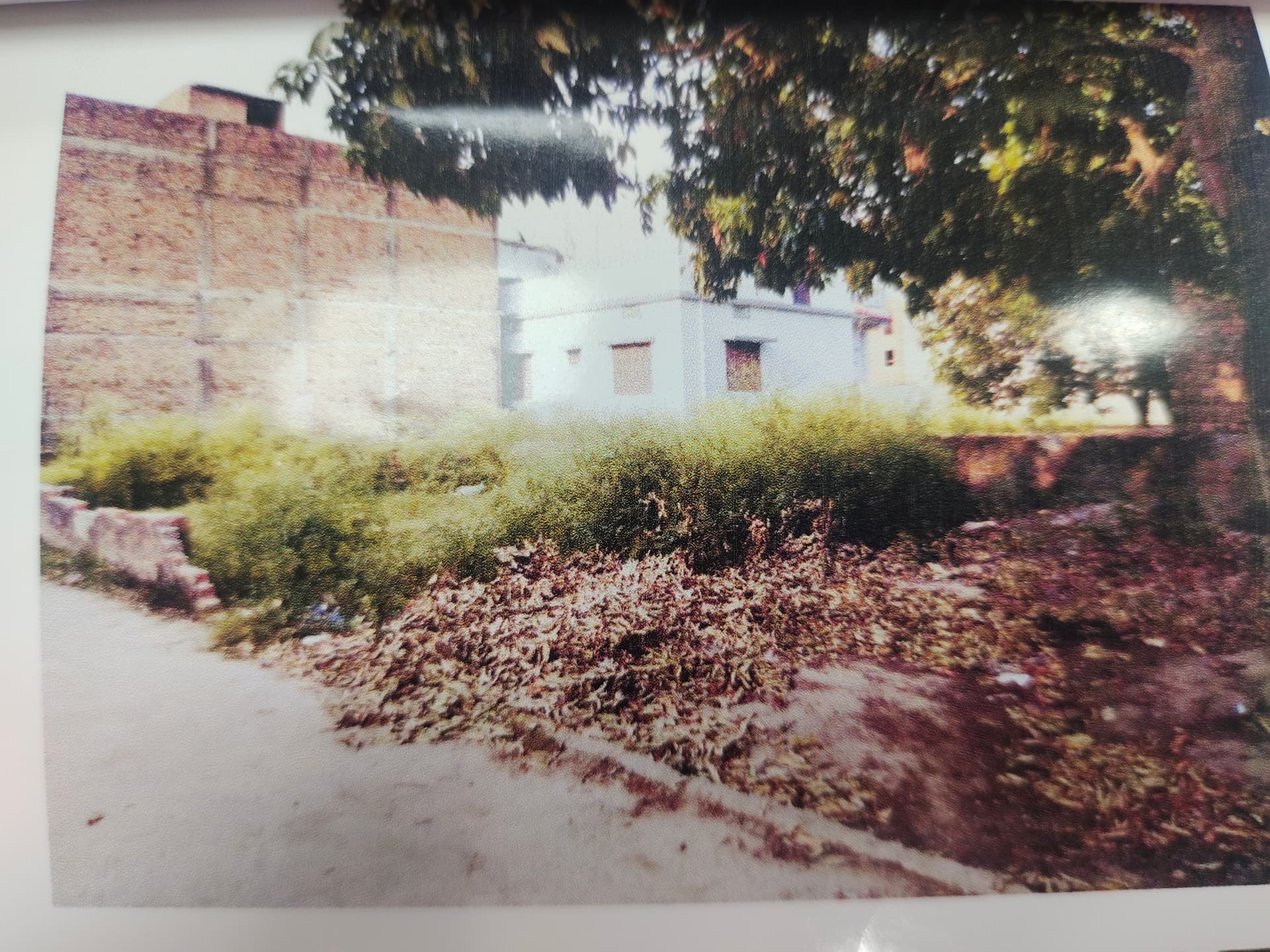 Property Photos 4