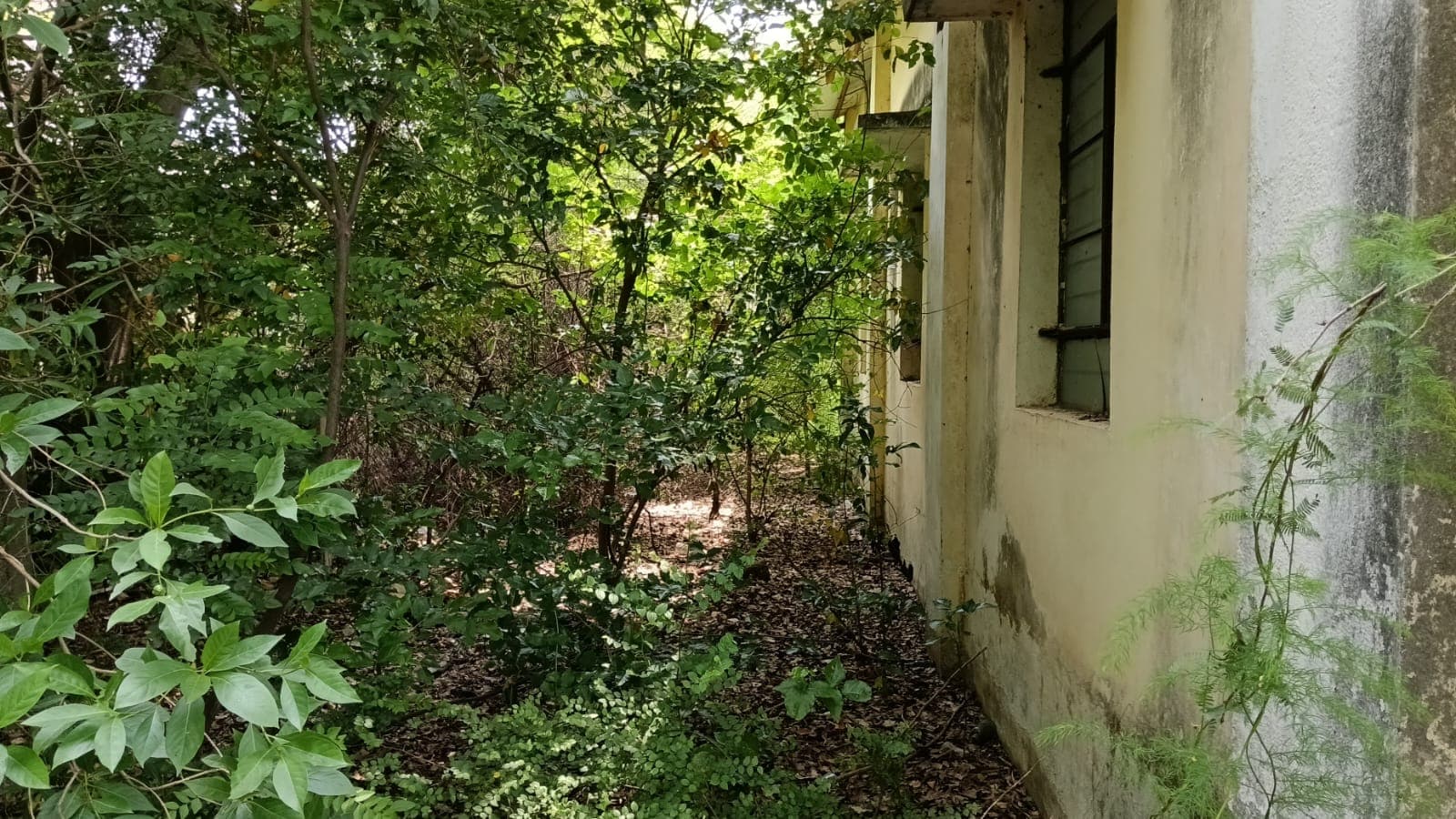 Property Photos 4