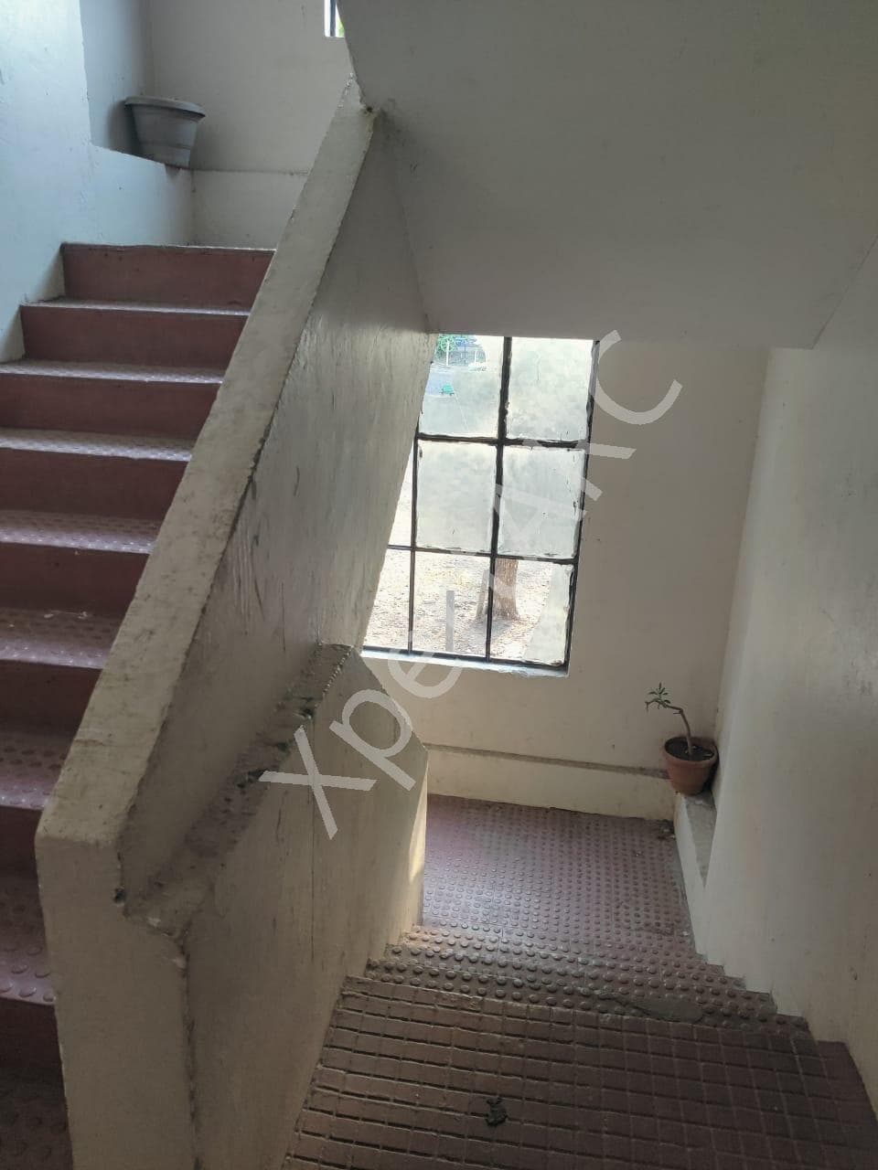 Property Photos 11