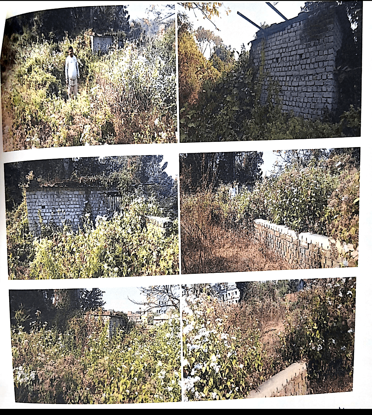 Property Photos 2