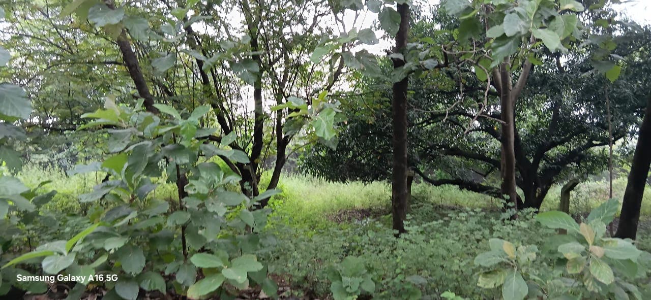 Property Photos 3