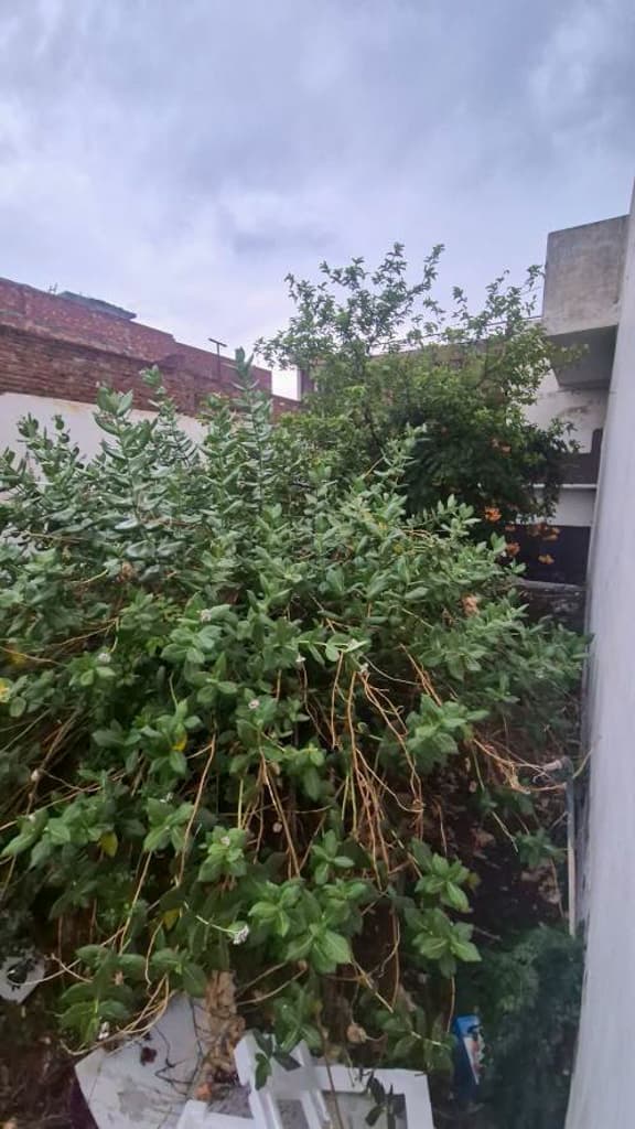 Property Photos 10