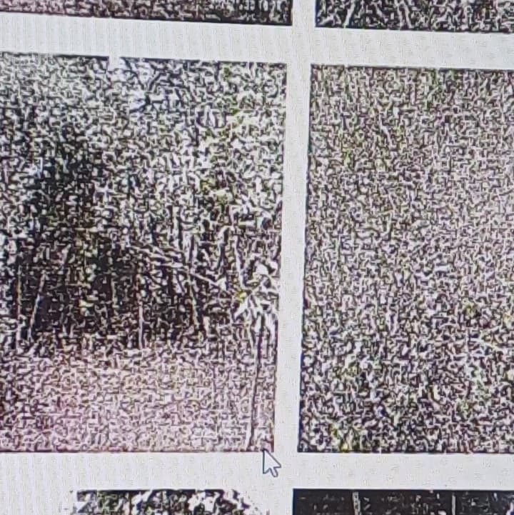 Property Photos 3