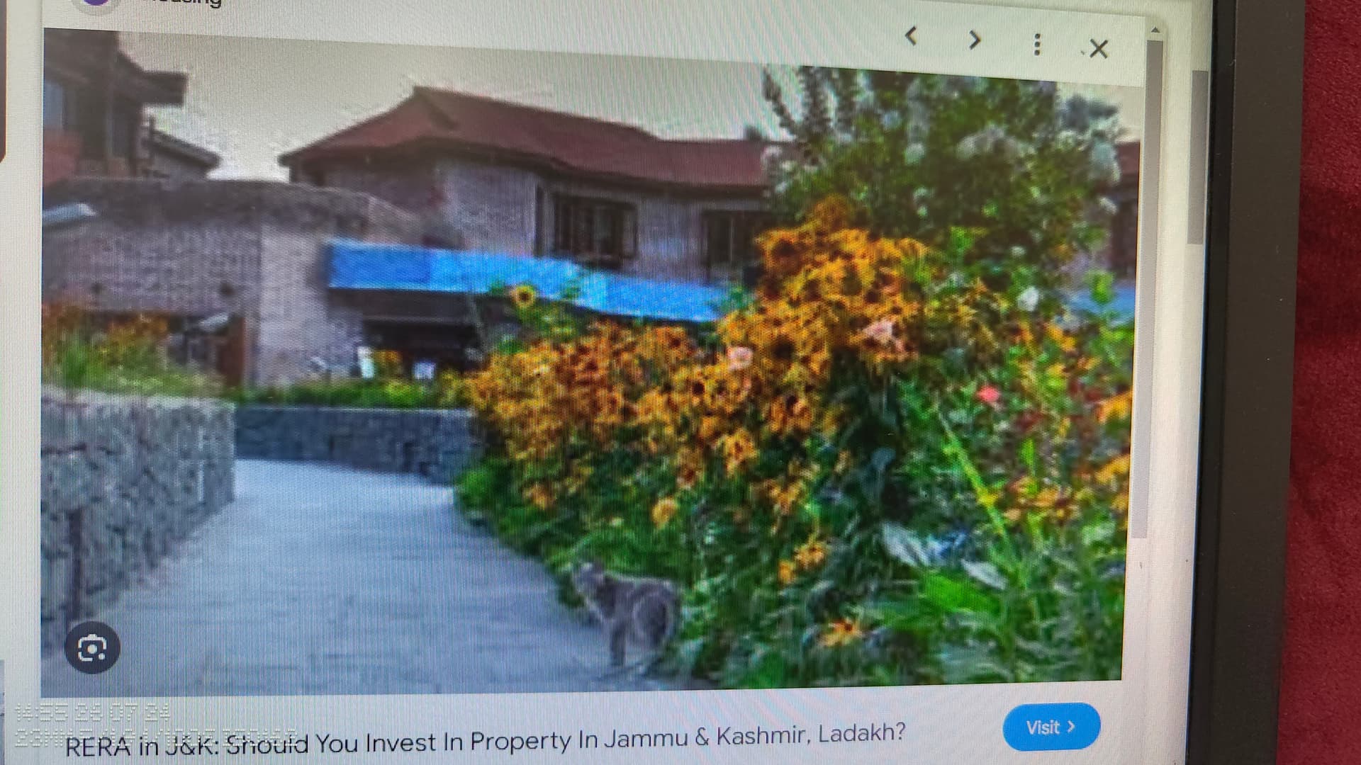Property Photos 2