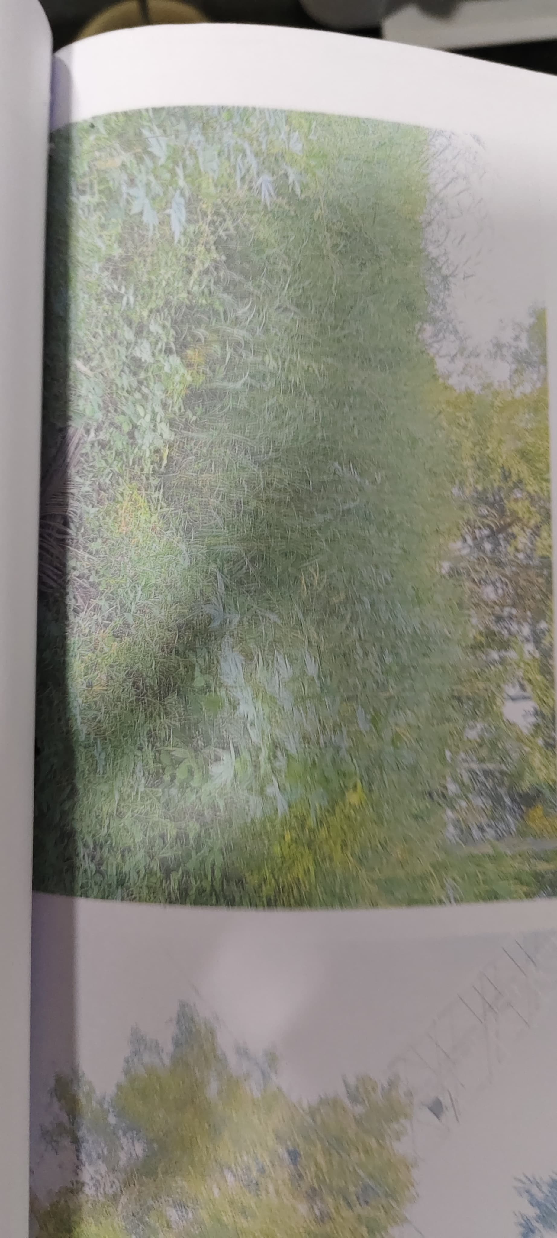 Property Photos 3