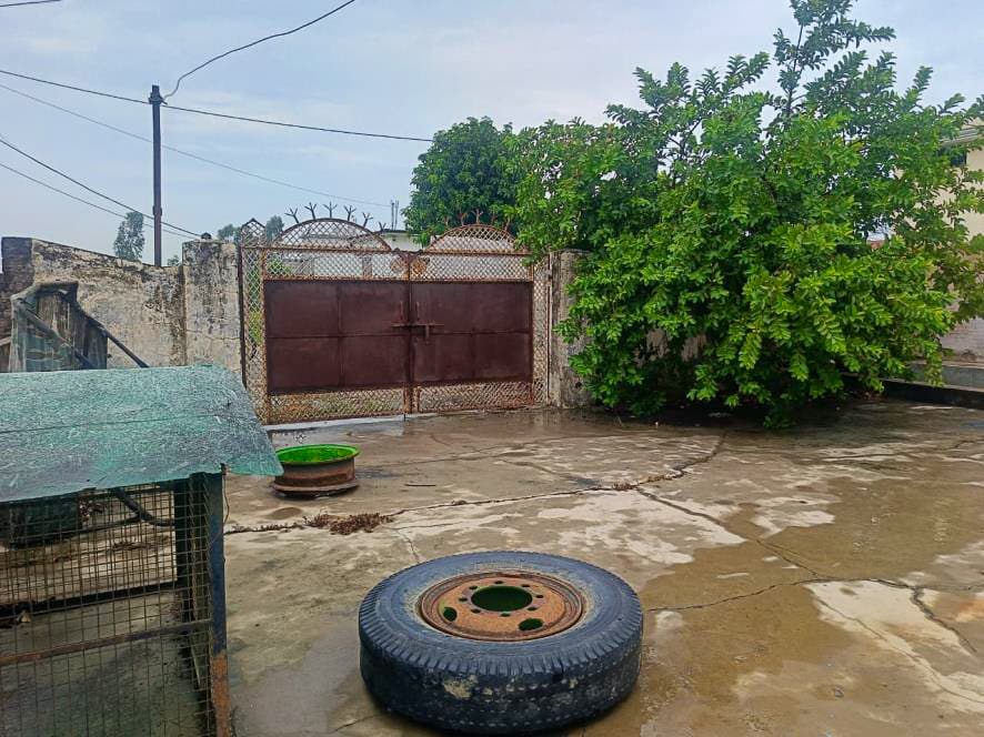 Property Photos 2