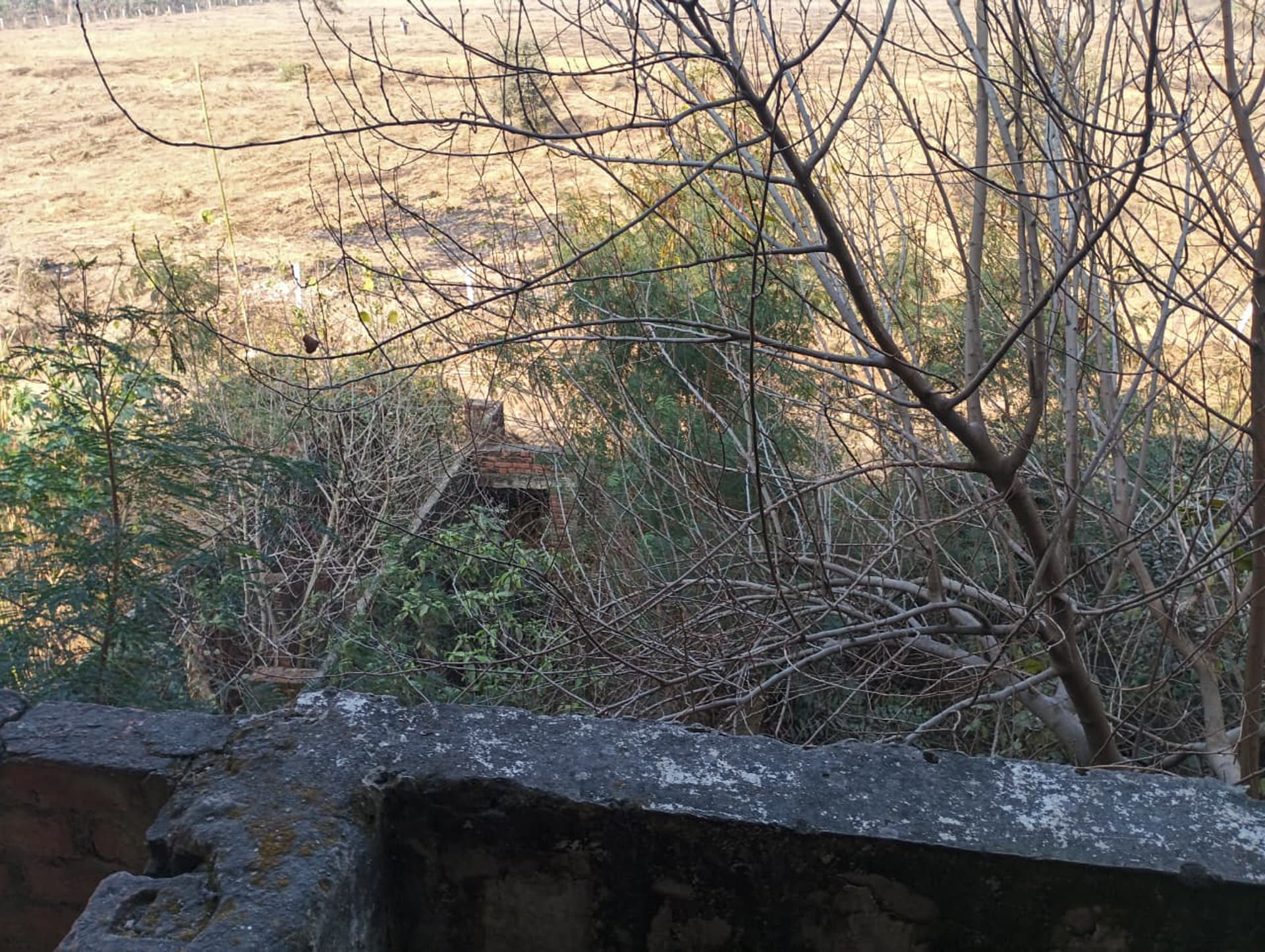 Property Photos 7