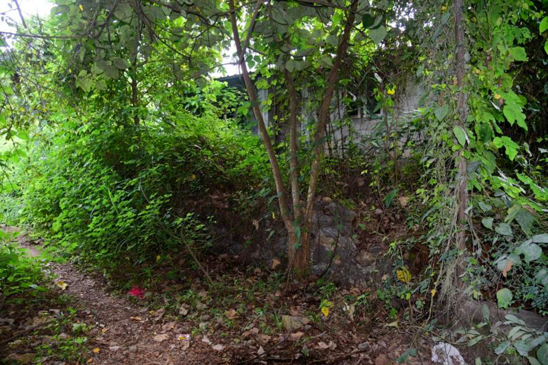 Property Photos 29