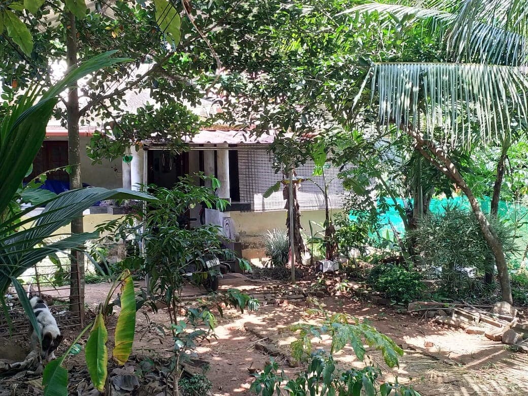 Property Photos 7