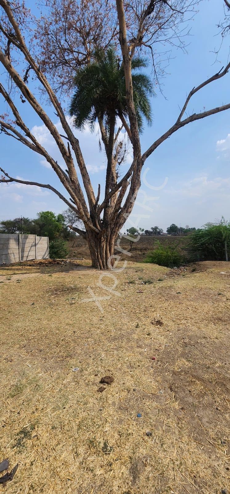 Property Photos 3