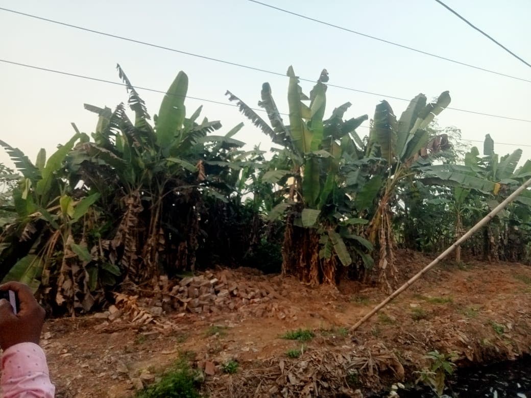 Property Photos 2