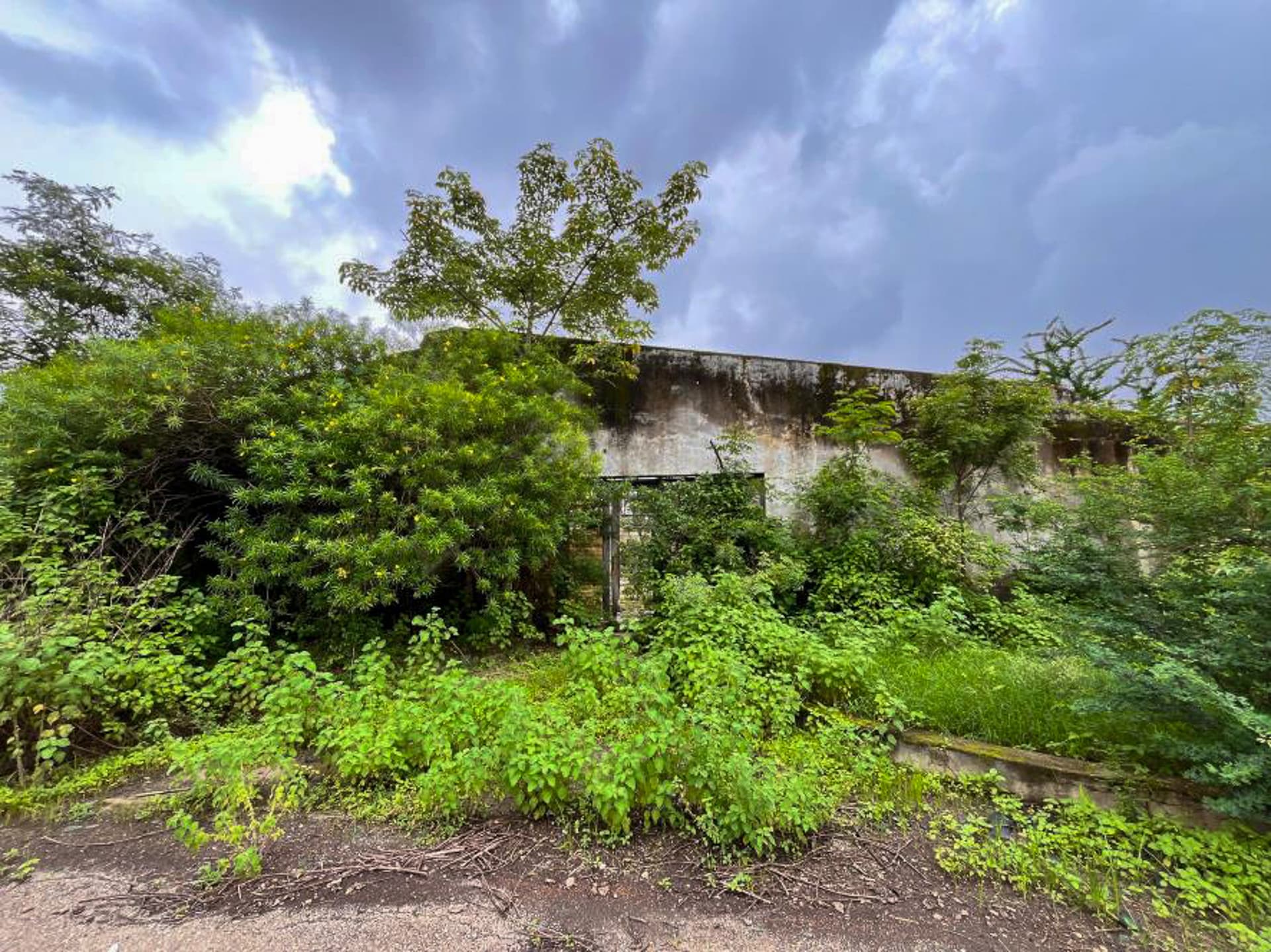 Property Photos 19