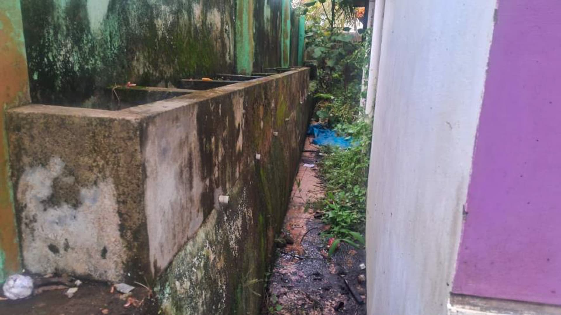 Property Photos 5