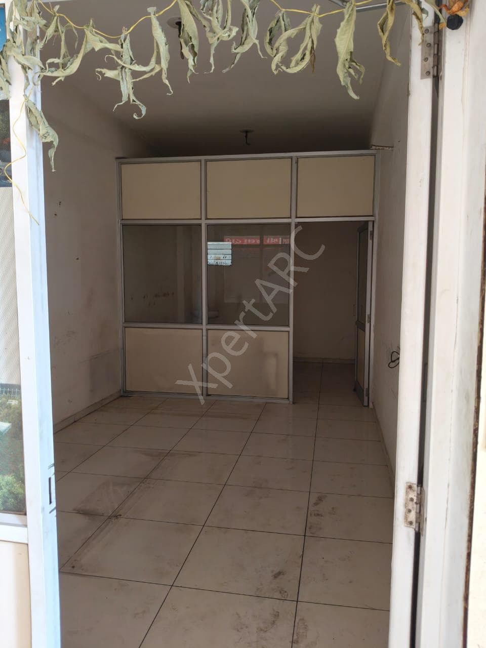 Property Photos 6