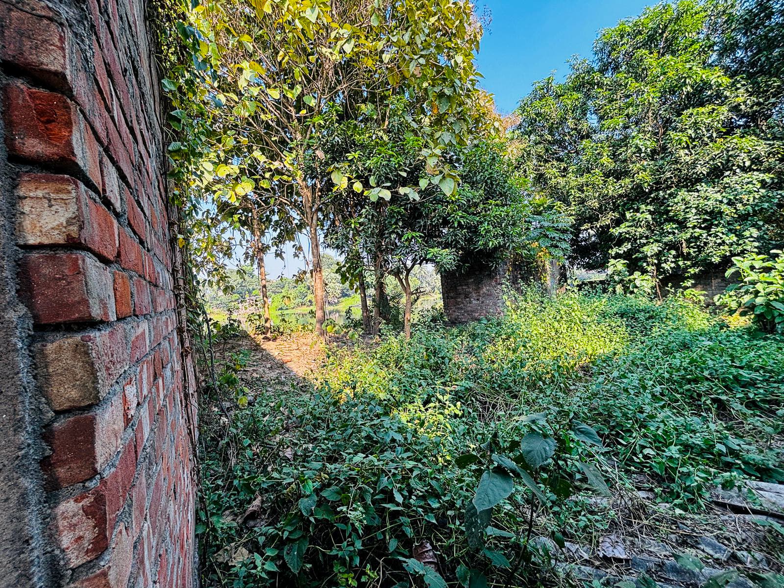 Property Photos 2