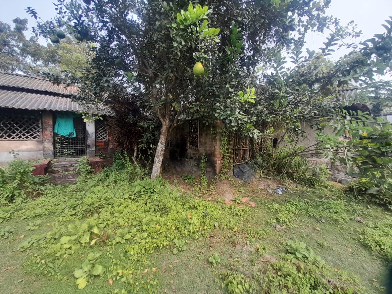 Property Photos 3