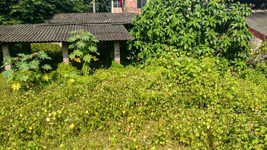 Property Photos 2
