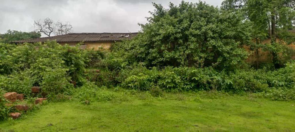 Property Photos 36