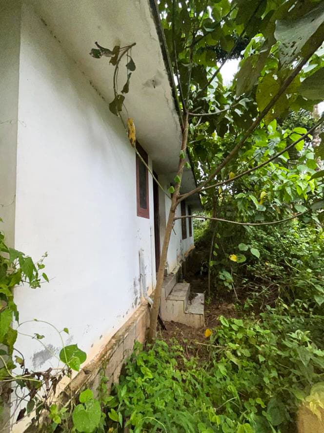 Property Photos 30