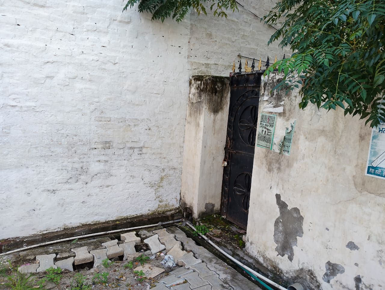 Property Photos 4