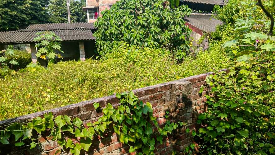 Property Photos 15